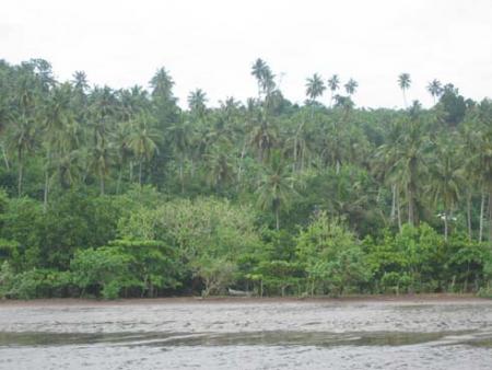 plage de tchanga