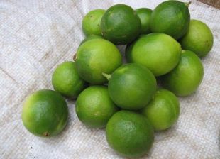 Les citrons de mayotte