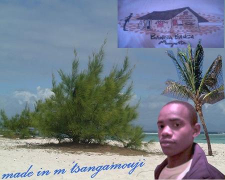 Badin